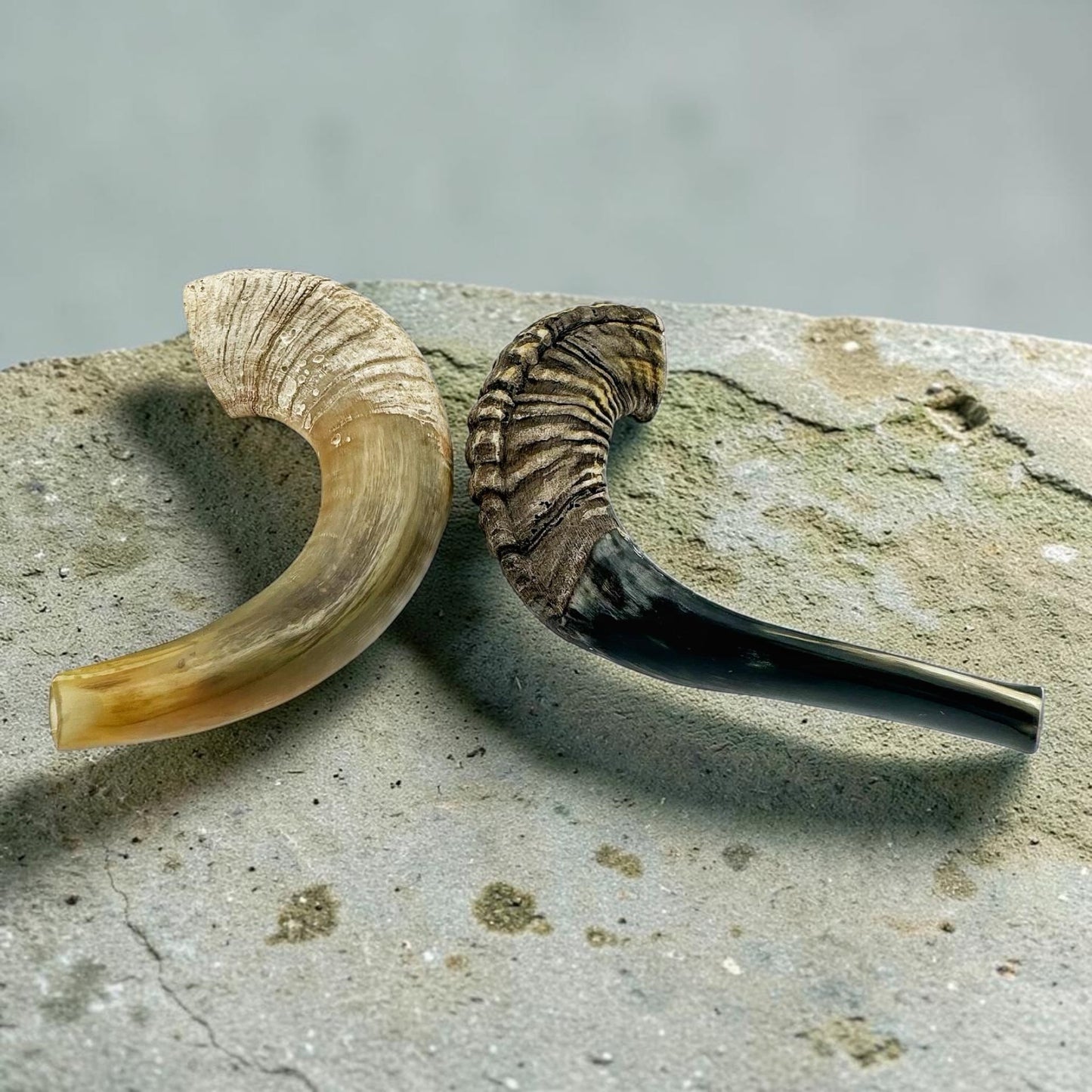 Kosher Ram Horn Shofar