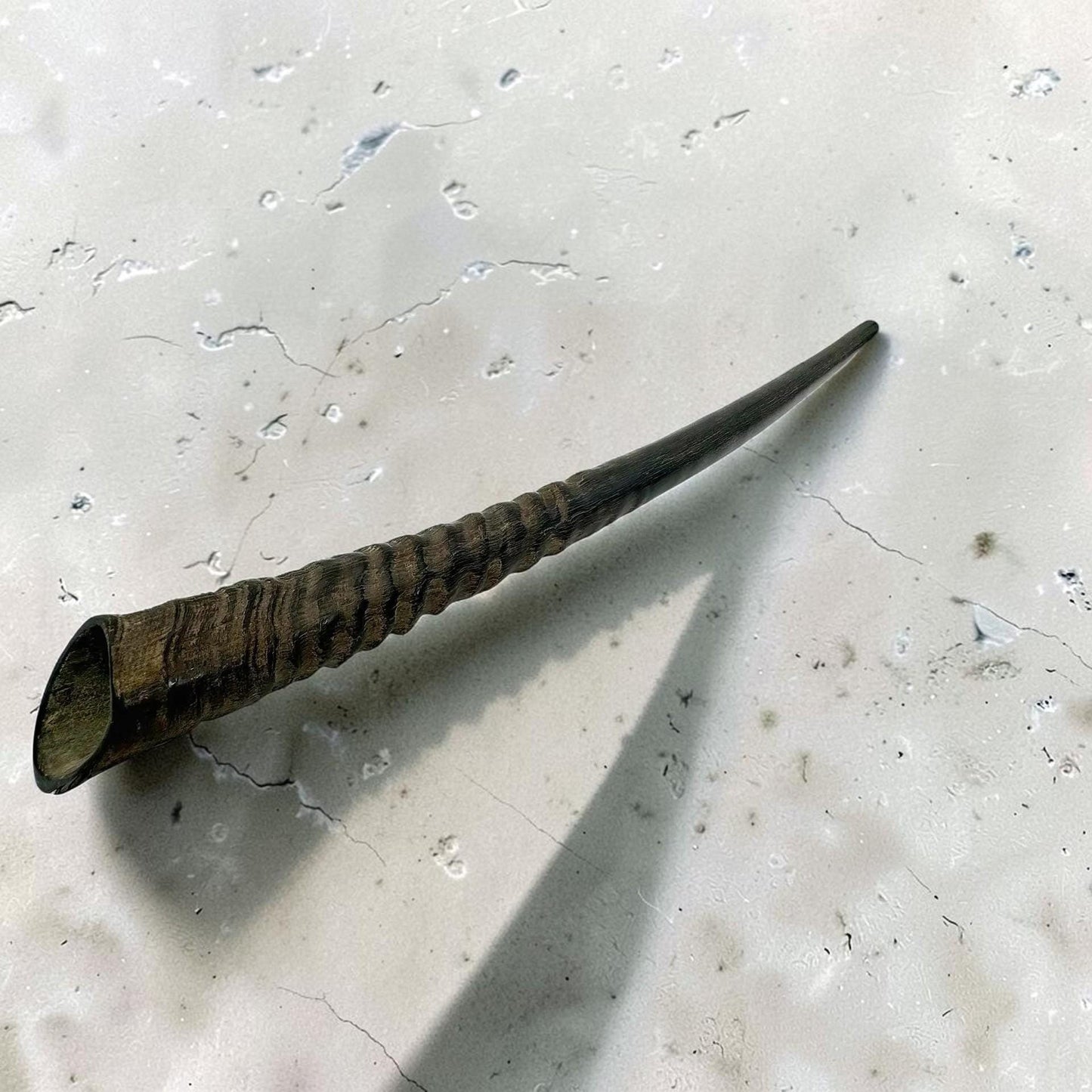 Polished Kosher Oryx Horn Shofar