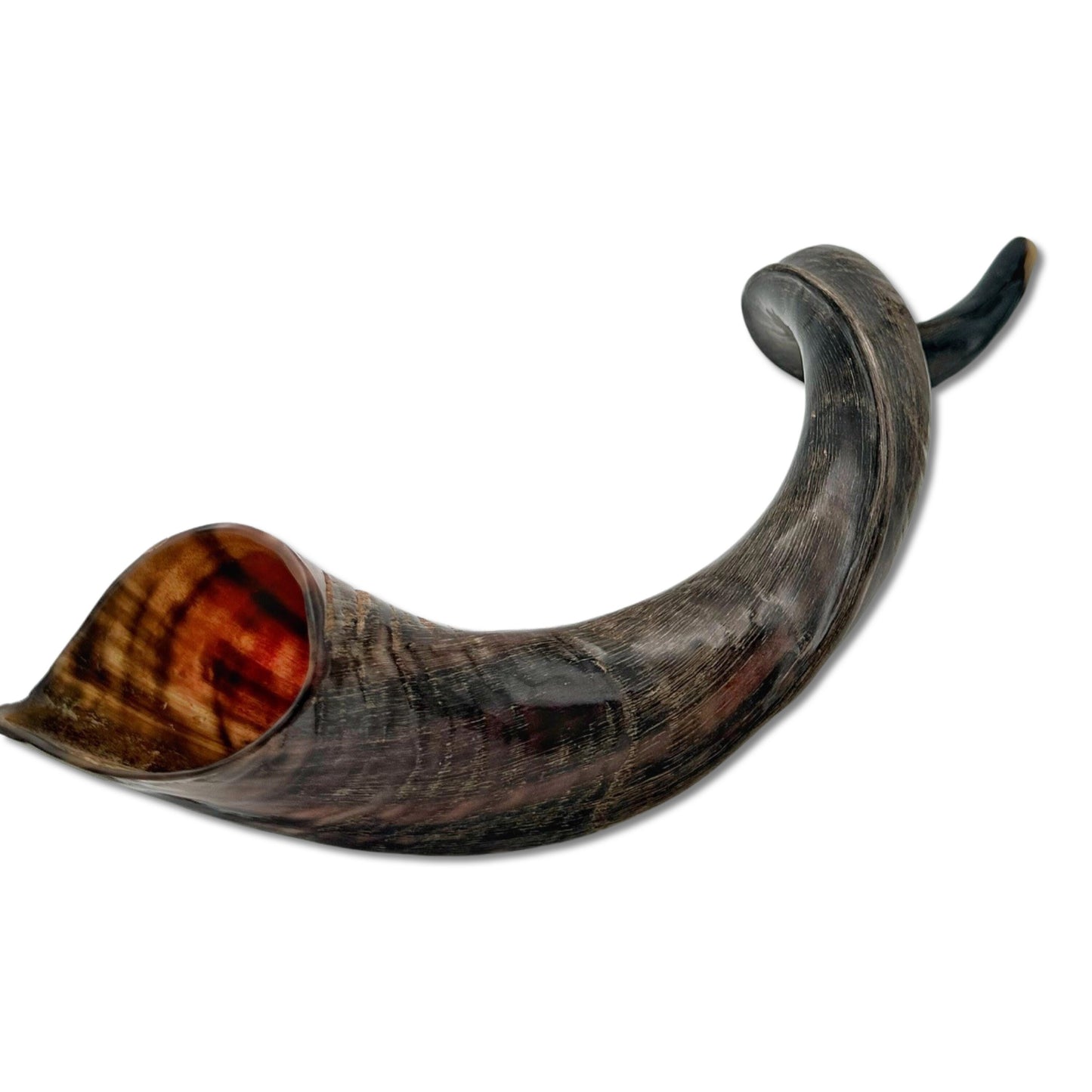 High Quality Kosher Yemenite Shofar