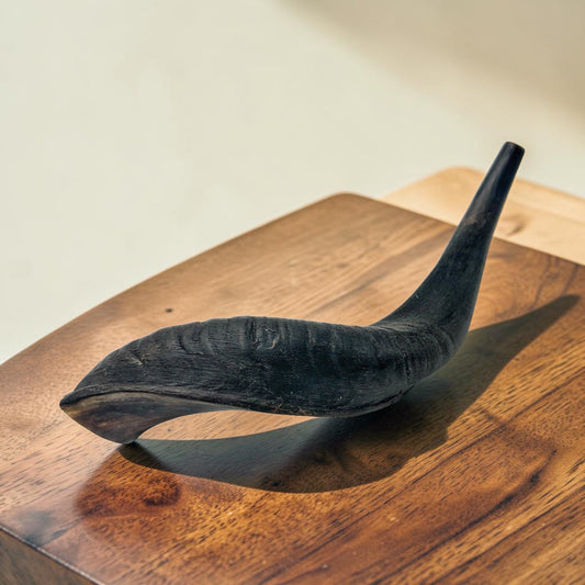 Kosher Ram Horn Shofar