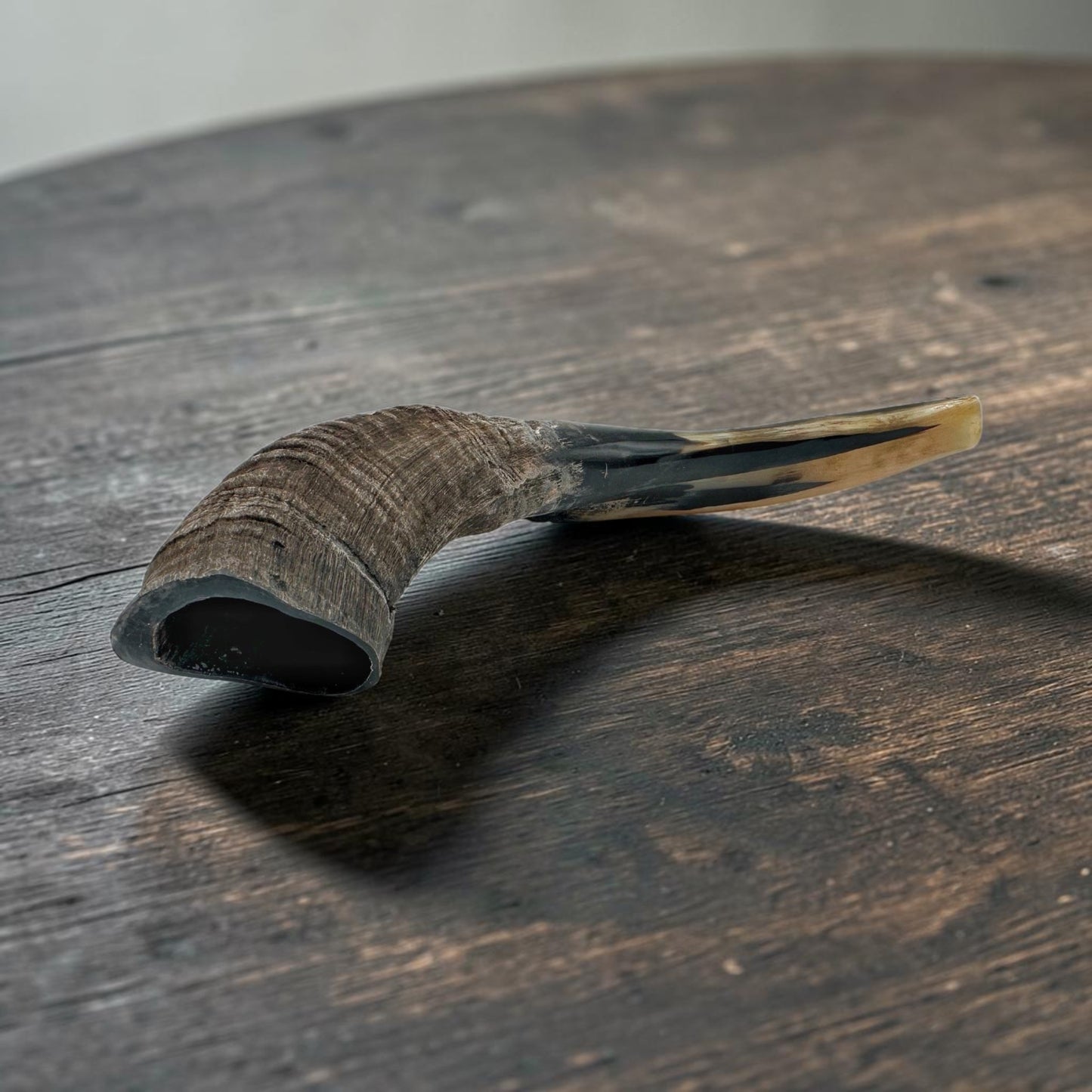 Kosher Ram Horn Shofar