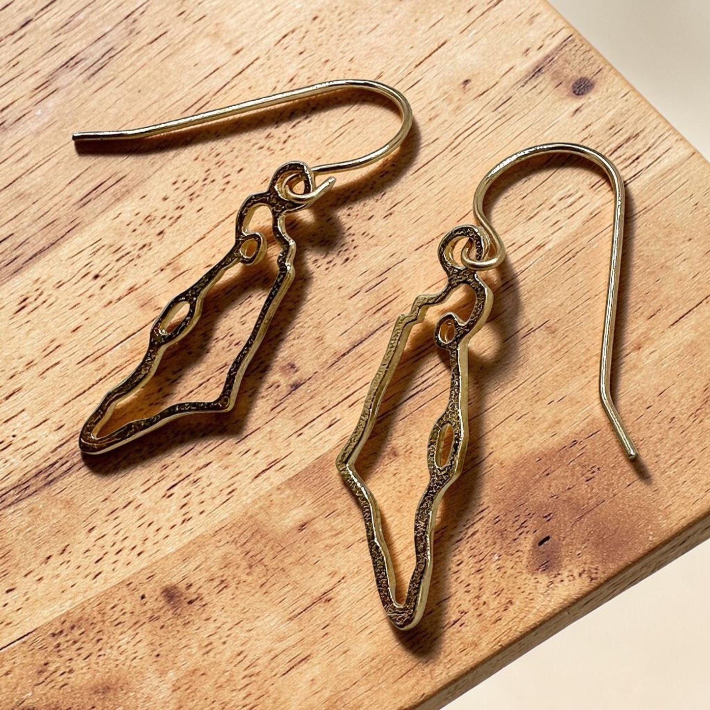 Israel Map Earrings