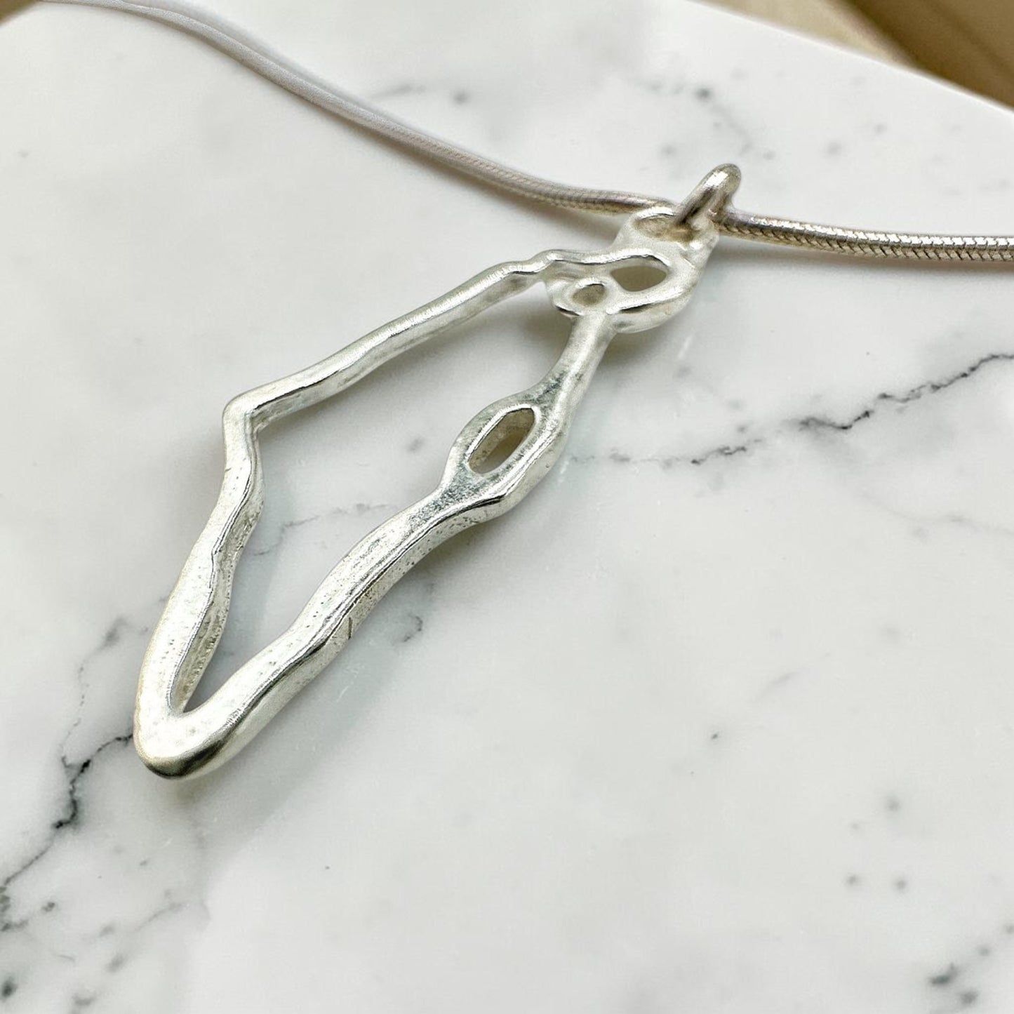 Sterling Silver/Gold Israel Map Star of David Necklace