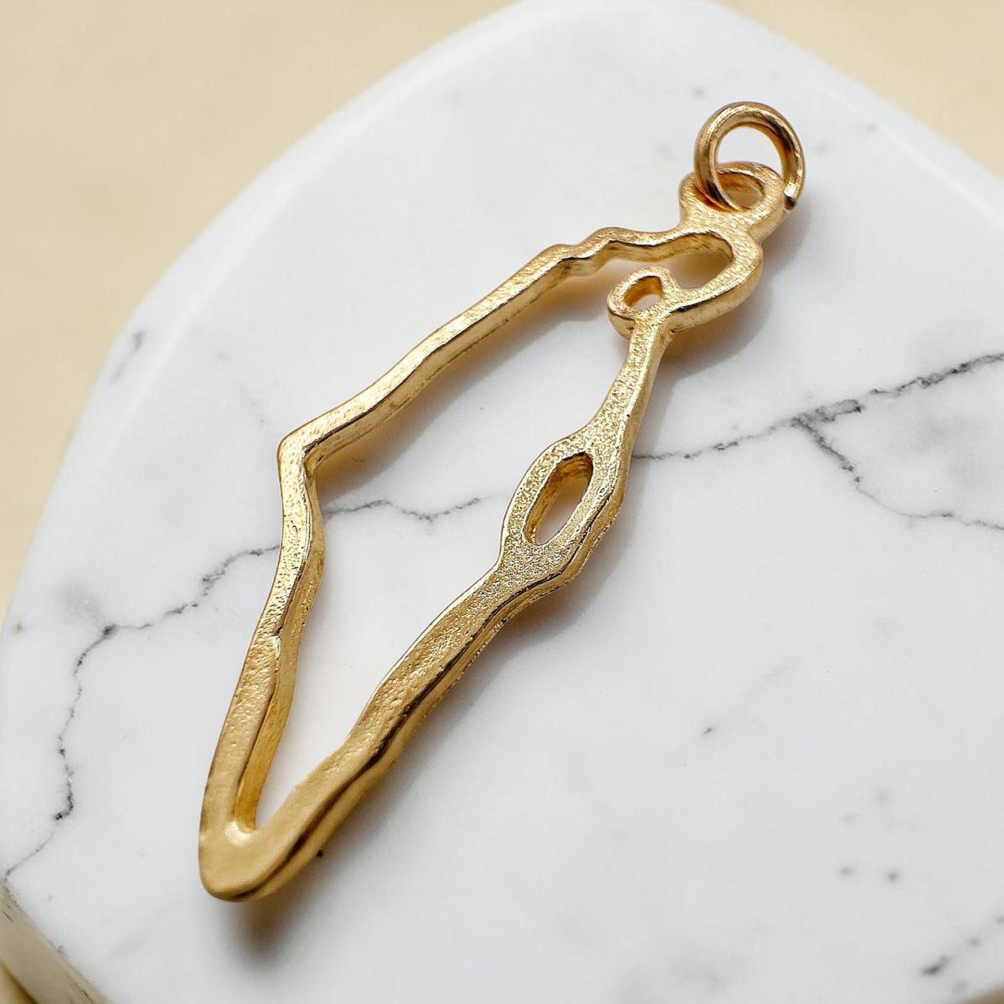 Sterling Silver/Gold Israel Map Star of David Necklace