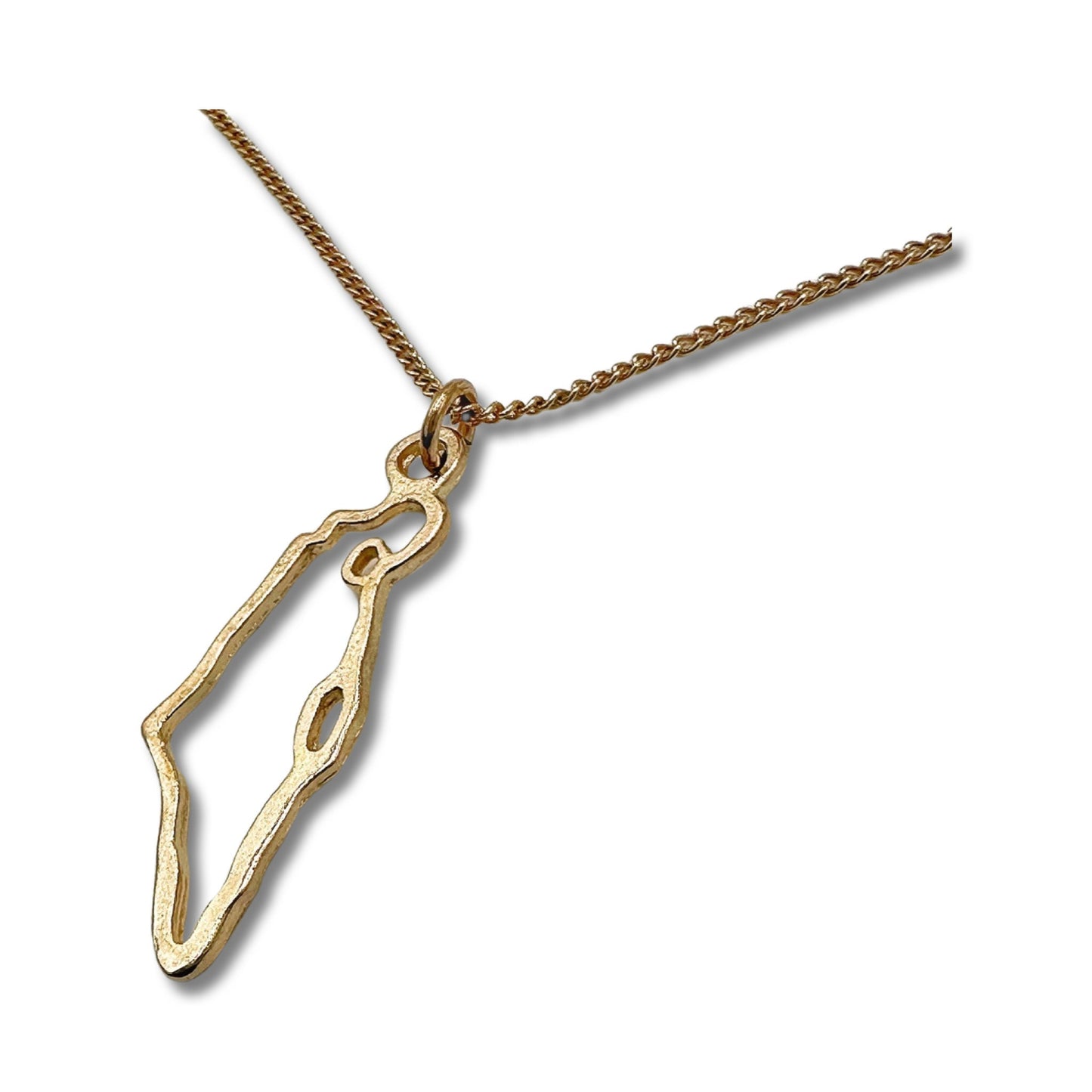 Sterling Silver/ Gold Israel Map Pendant