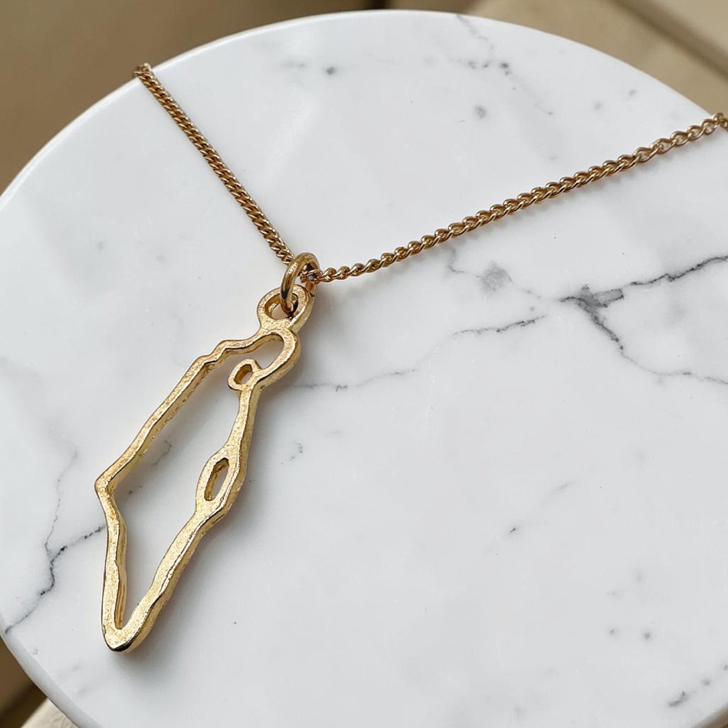 Sterling Silver/Gold Israel Map Star of David Necklace