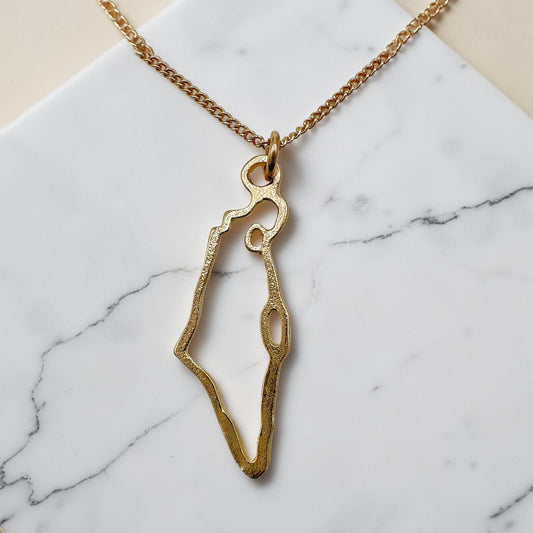 Sterling Silver/Gold Israel Map Star of David Necklace