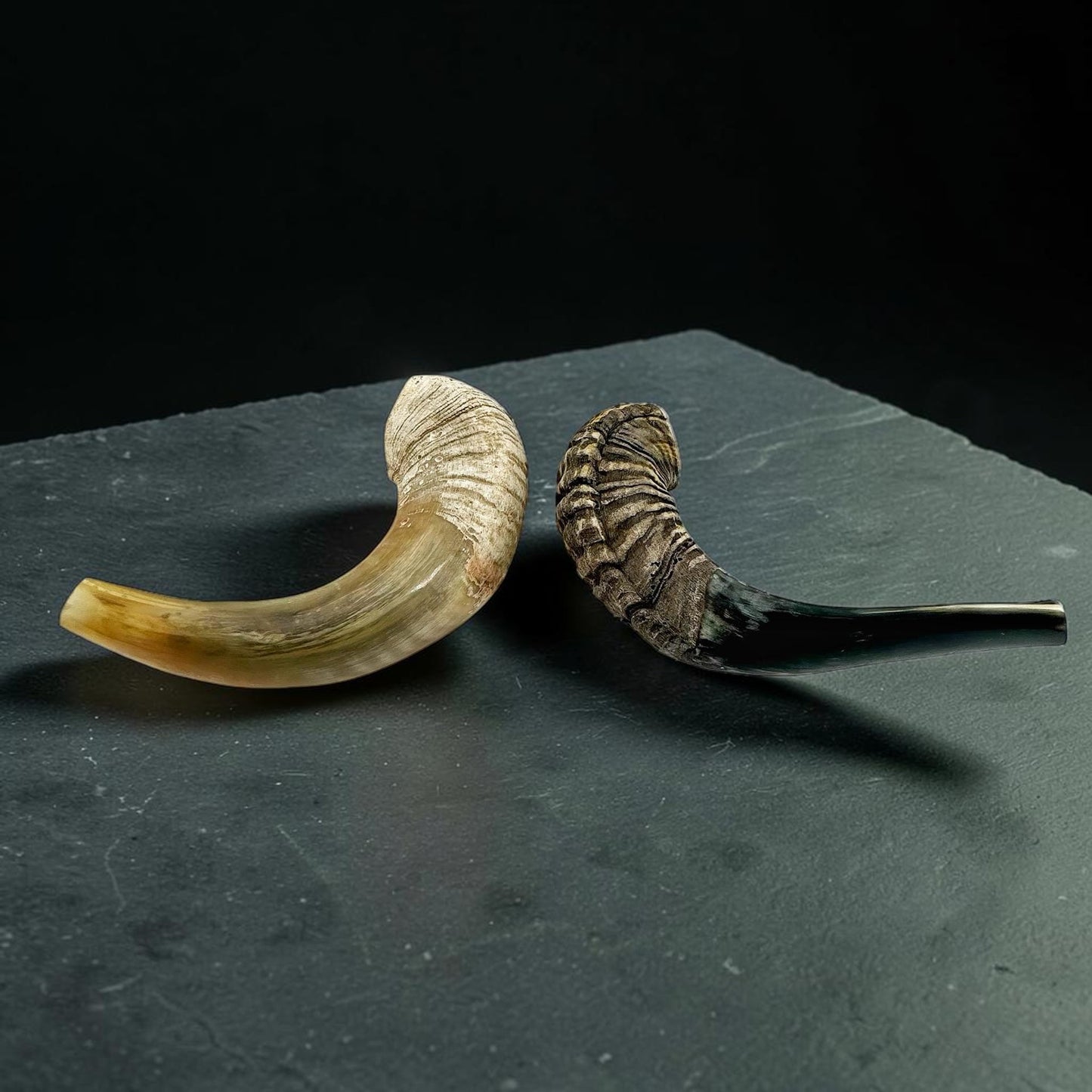 Kosher Ram Horn Shofar