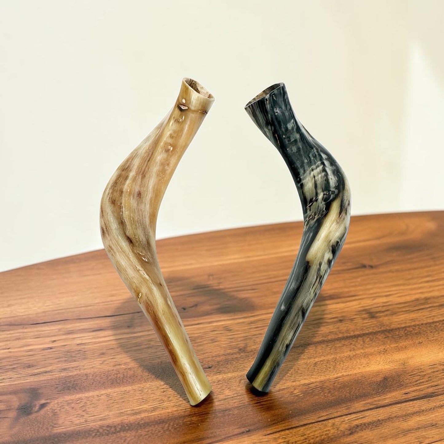 Kosher Ram Horn Shofar