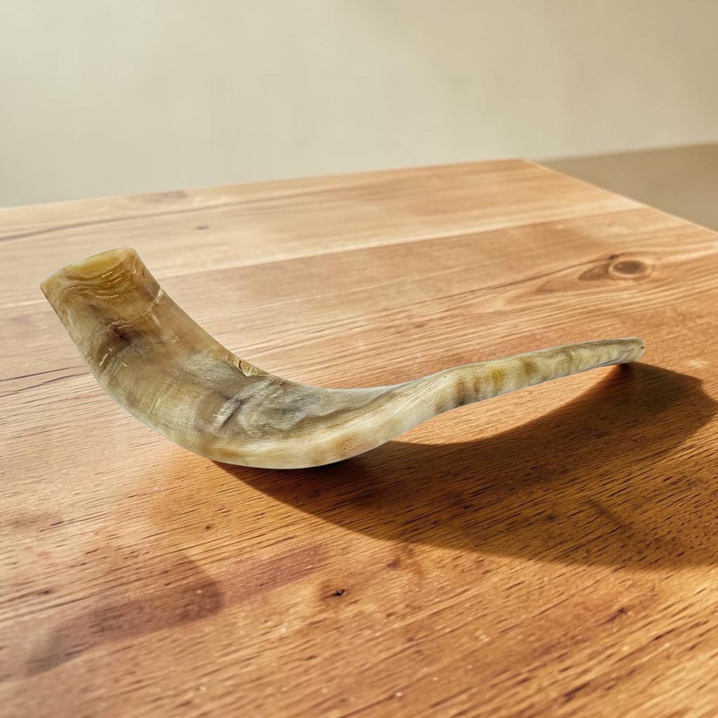 Kosher Ram Horn Shofar