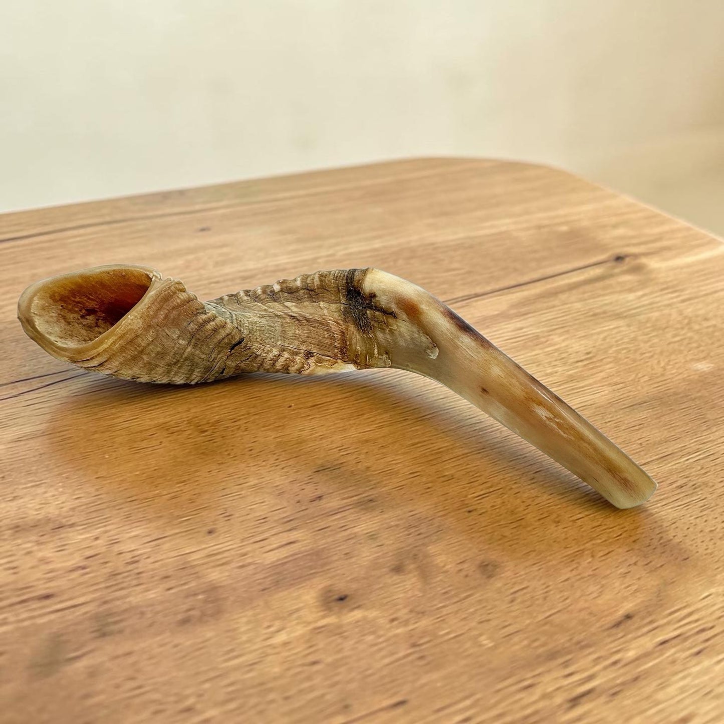 Kosher Ram Horn Shofar