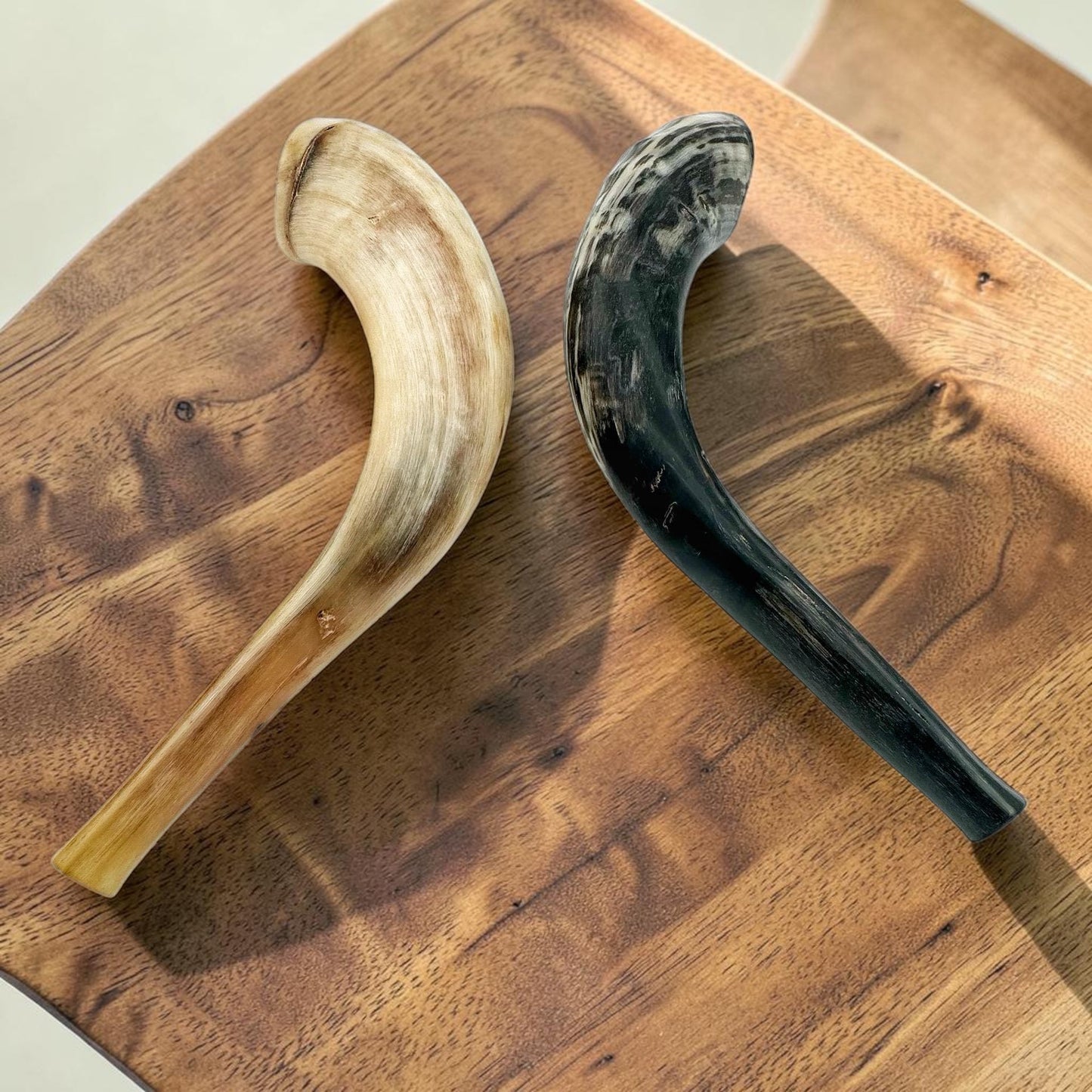 Kosher Ram Horn Shofar