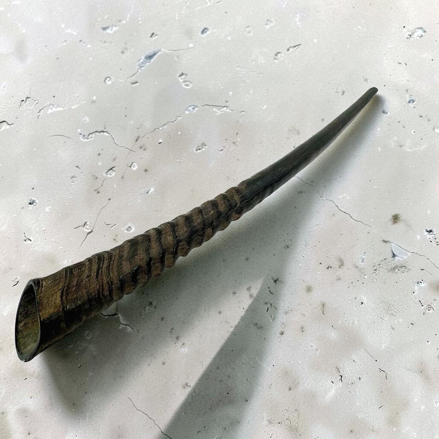 Polished Kosher Oryx Horn Shofar