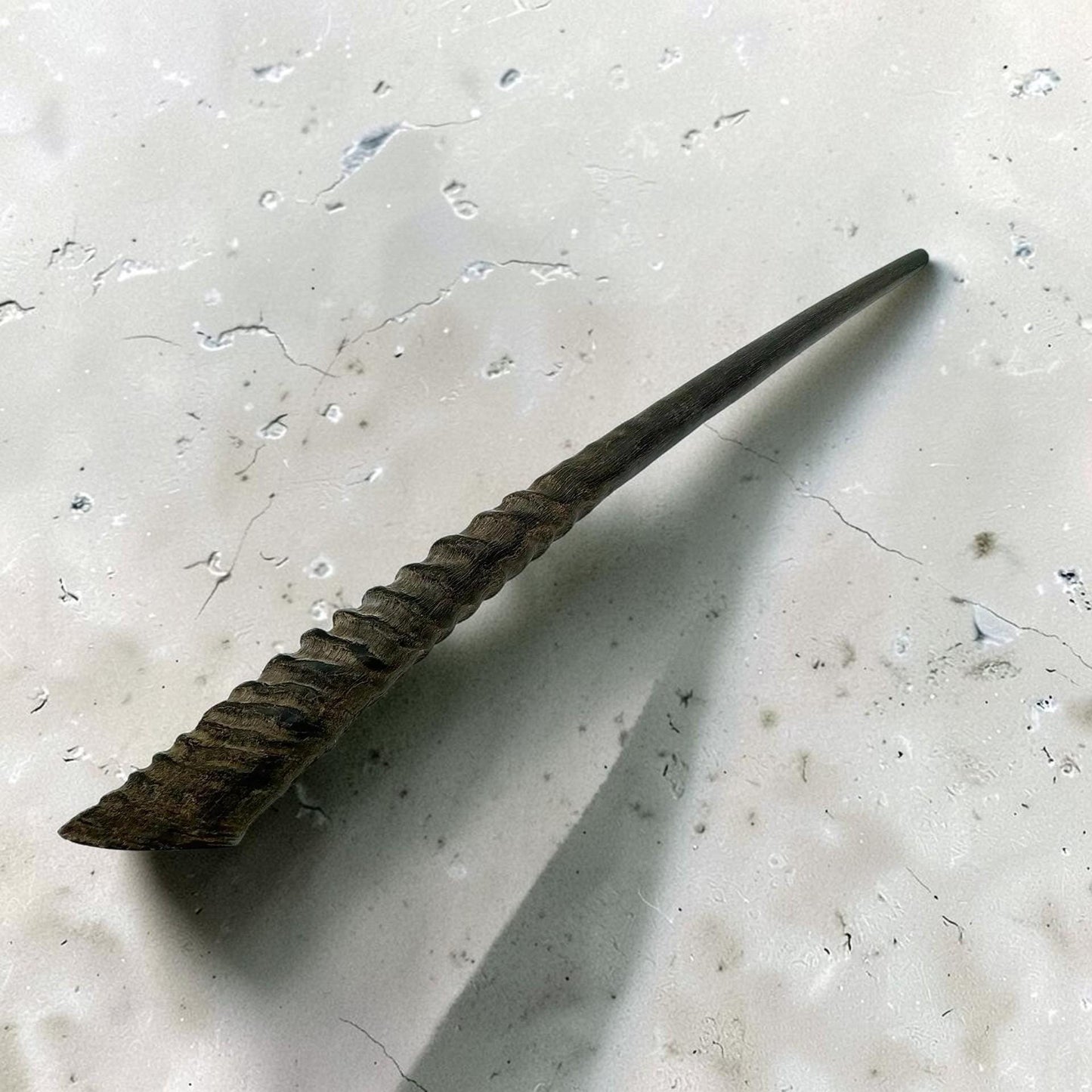 Polished Kosher Oryx Horn Shofar