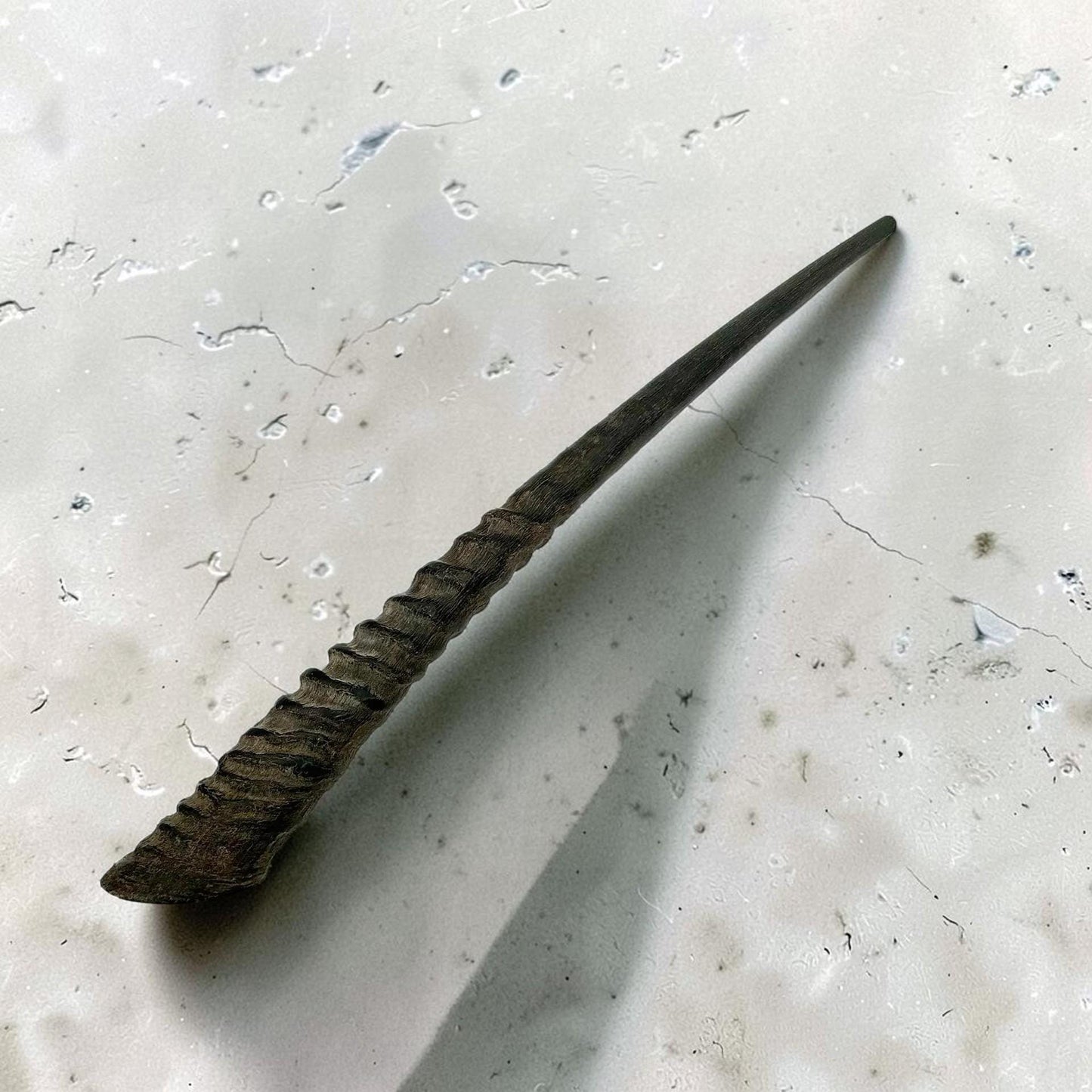 Polished Kosher Oryx Horn Shofar
