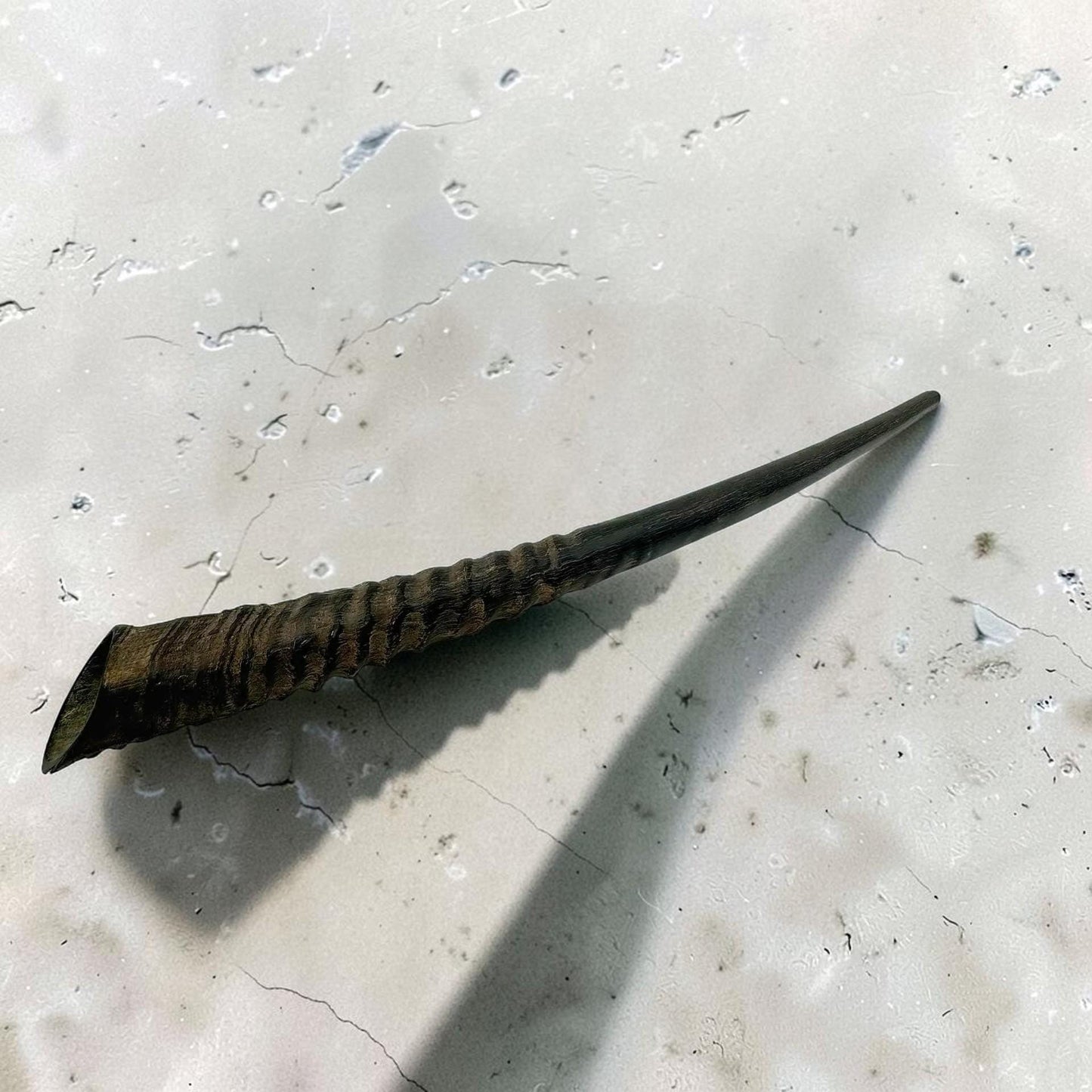 Polished Kosher Oryx Horn Shofar