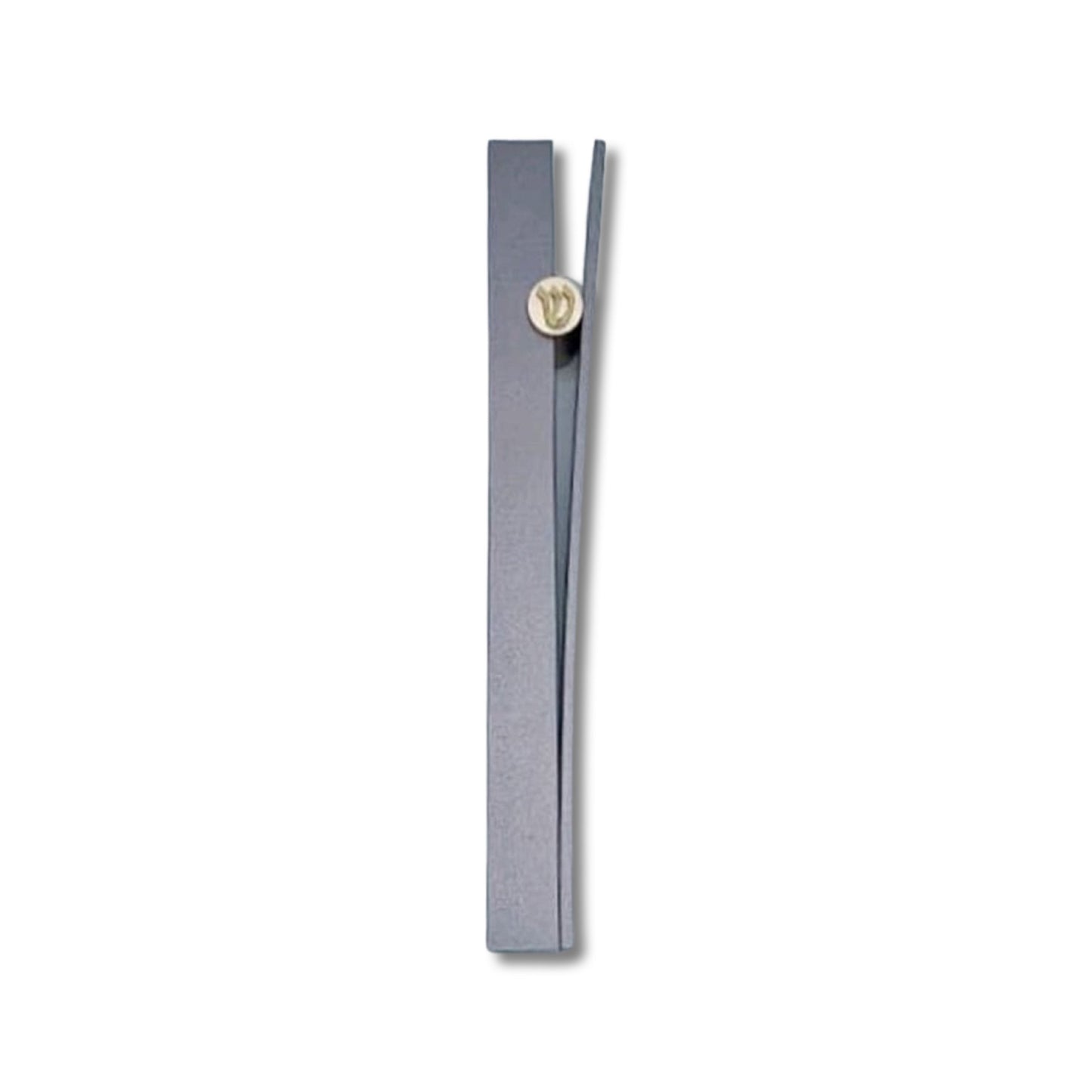 Anodized Mezuzah Case