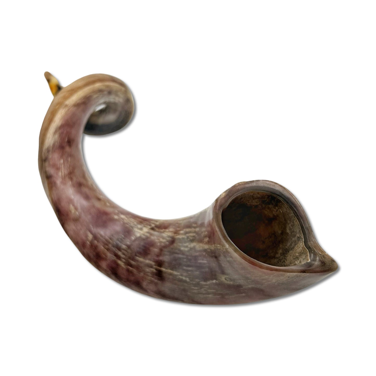 High Quality Kosher Yemenite Shofar